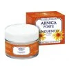Erboristeria Magentina Arnica Forte Unguento Per I Dolori Muscolori 50ml
