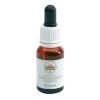 Green Remedies Boronia Contro I Pensieri Ossessivi E L'insonnia 15ml