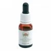 Green Remedies Bush Iris Che Aiuta A Superare La Paura Della Morte 15ml