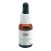 Green Remedies Christhmas Bell Gocce 15ml