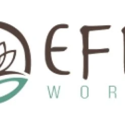 EFIT SRL Gaulteria Olio Essenziale Contro I Reumatismi 10ml